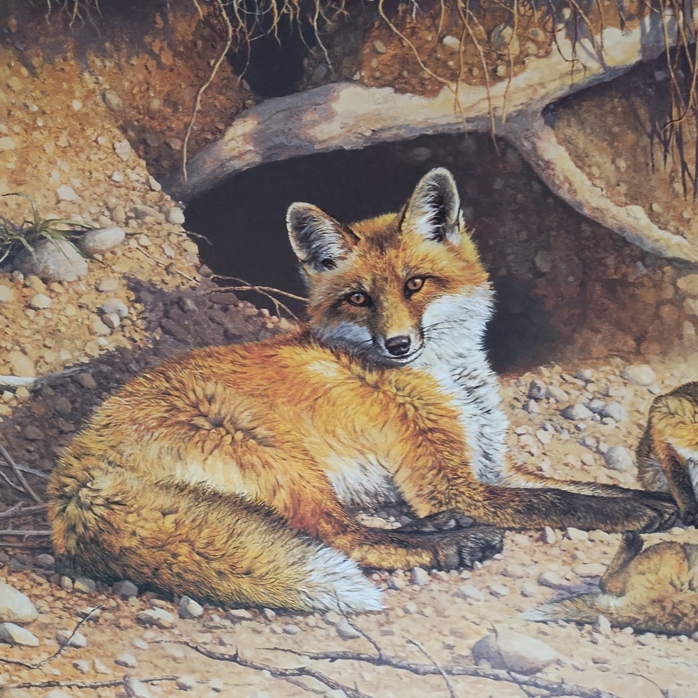 Bonnie Marris Spring Fever Red Fox Family Signed Numbered Lithograph #307/1000 - Picture 4 of 14